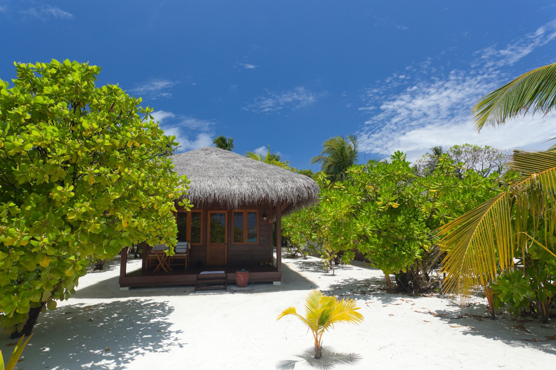 Deluxe Villa
